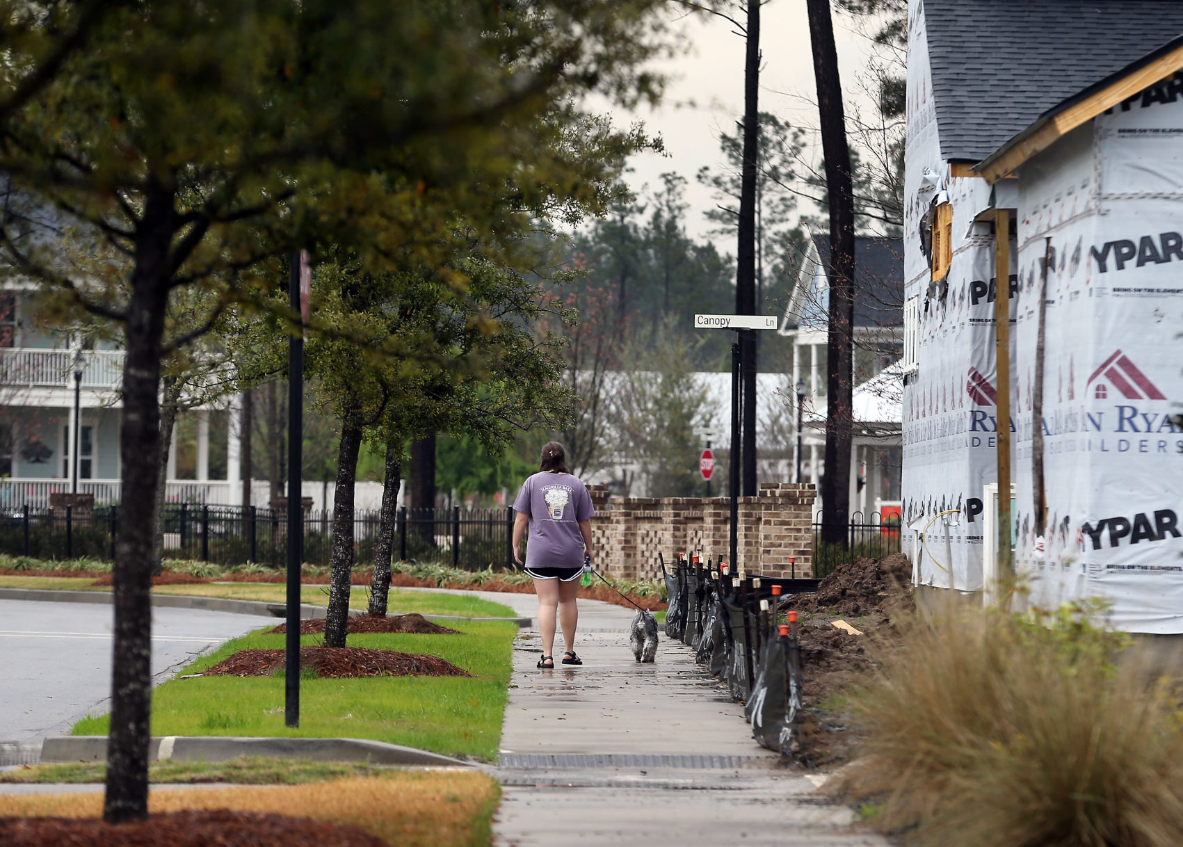 summers neighborhood.jpg (copy)